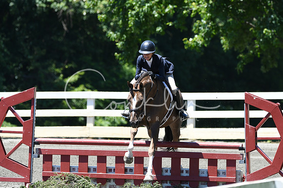 HSM_0974
