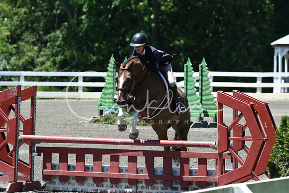 HSM_0975