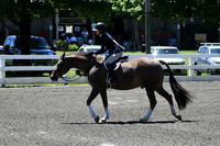 HSM_0977
