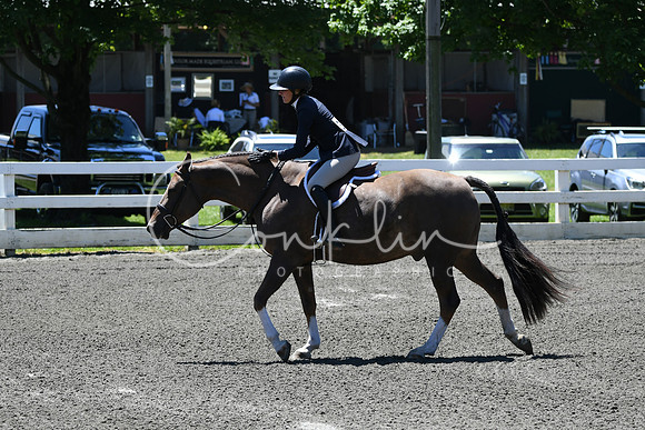 HSM_0977