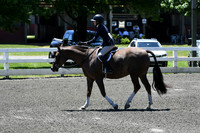 HSM_0978