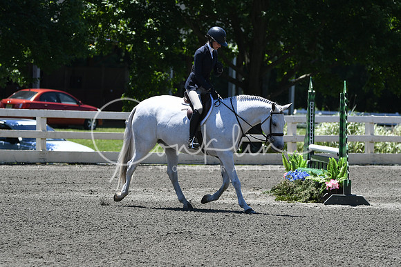 HSM_1134