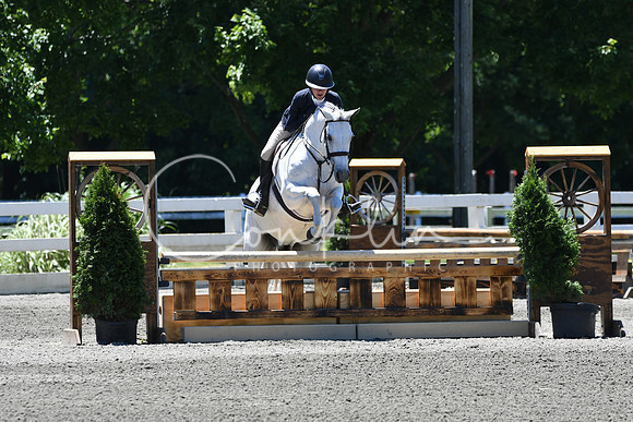 HSM_1154