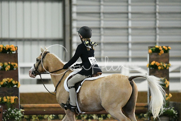 HSM_8795