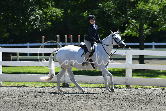 HSM_1559