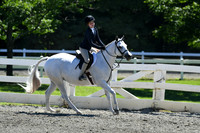 HSM_1564