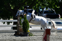 HSM_1575