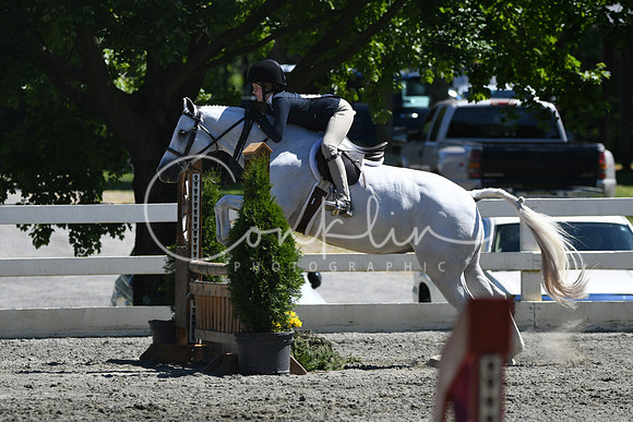 HSM_1575