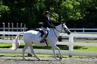 HSM_1619
