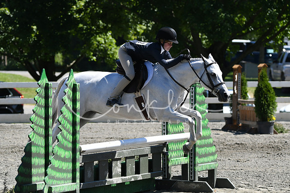 HSM_1624