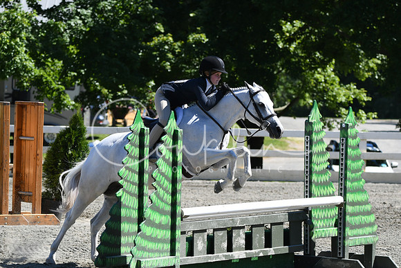 HSM_1689