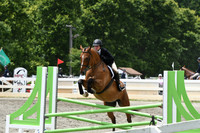 HSM_4813
