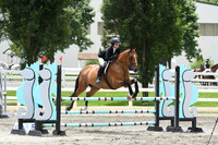 HSM_4817