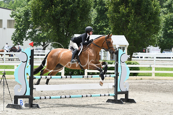 HSM_4819