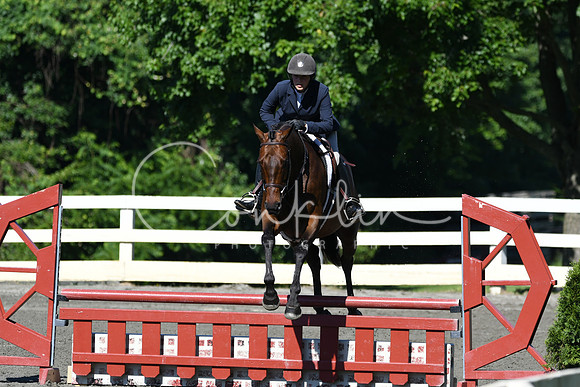 HSM_0584