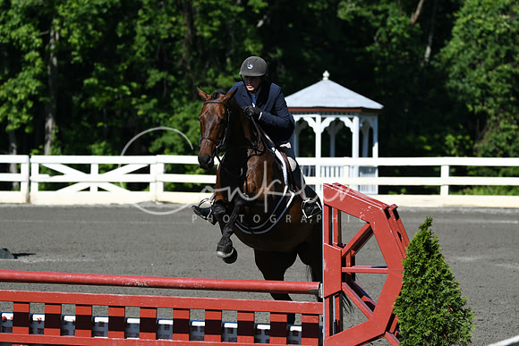 HSM_0585