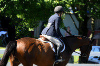 HSM_0593