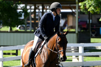 HSM_0598