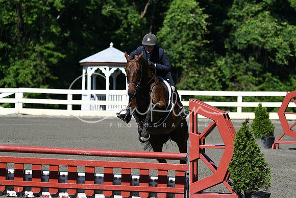 HSM_0601