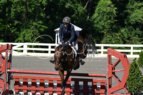 HSM_0603