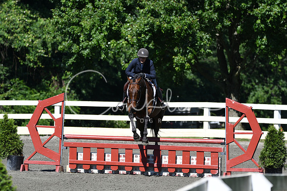 HSM_0617