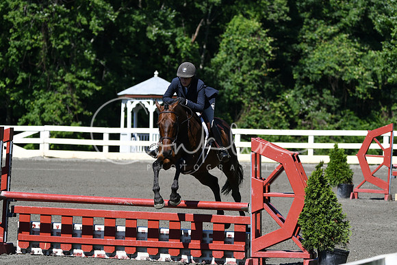 HSM_0619