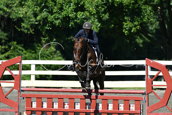 HSM_0631
