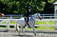 HSM_1541