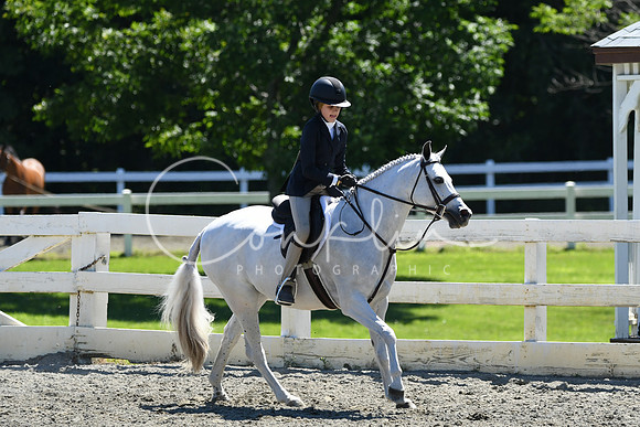 HSM_1541