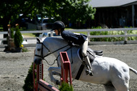 HSM_1545