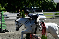 HSM_1546