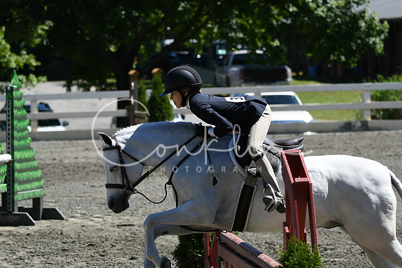 HSM_1546