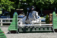 HSM_1547