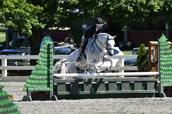 HSM_1547