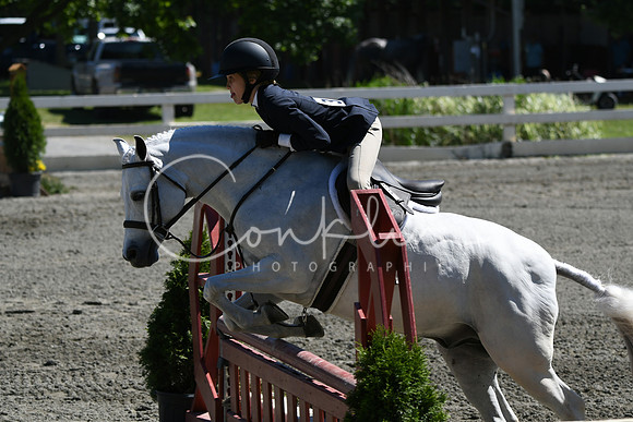 HSM_1607