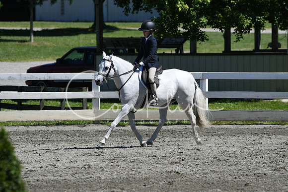 HSM_1613