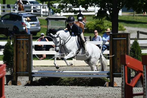 HSM_1615