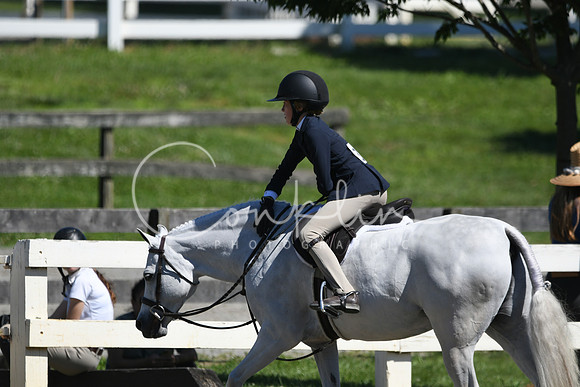 HSM_1674