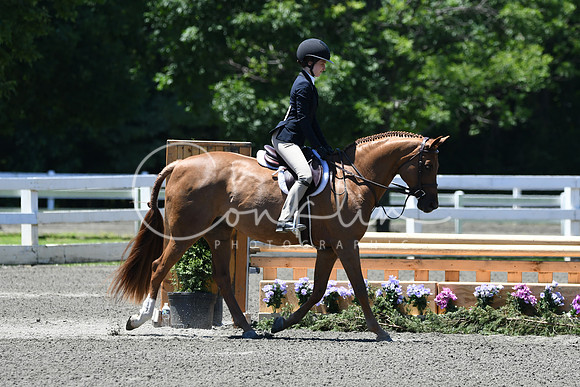 HSM_0994