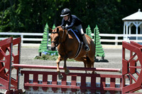HSM_1007