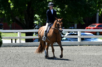 HSM_1009