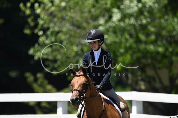 HSM_1031