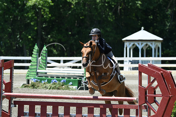 HSM_1037