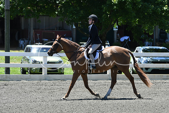 HSM_1046