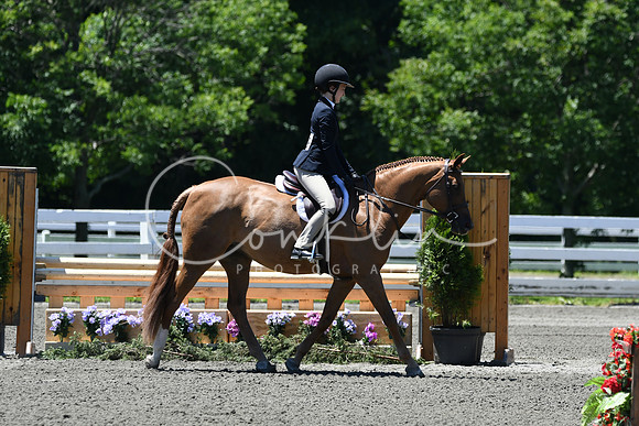HSM_1077