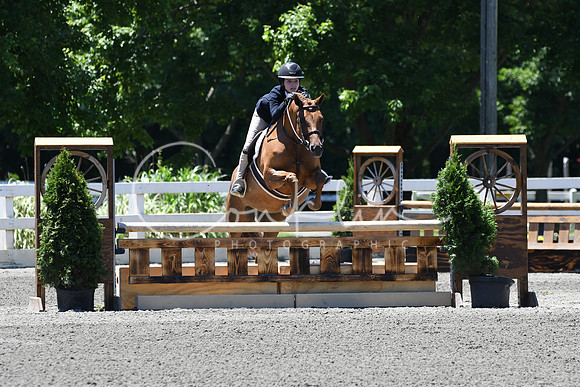 HSM_1079