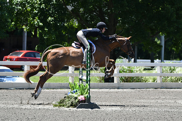 HSM_1083