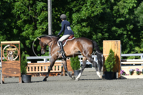 HSM_0272