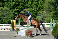 HSM_0273