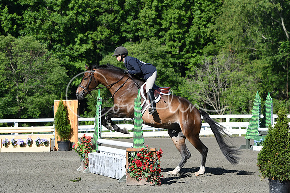 HSM_0273